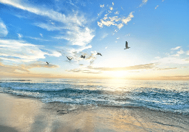 Carta da parati Paradise Beach