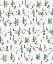 Papier peint Alpine glisse