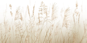 Beige wheat field bathroom wallpaper