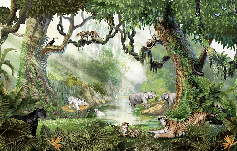 Papier peint enfant jungle secrète - Muralconcept