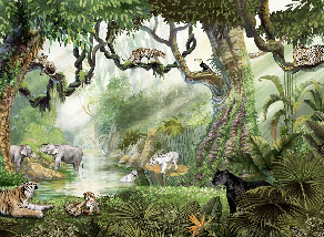Papier peint enfant jungle secrète - Muralconcept