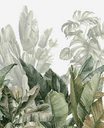 Panoramic green banana wallpaper