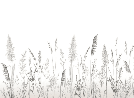 Papier peint poétique pampa - Muralconcept