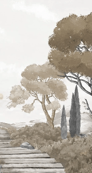 Papier peint balade dans les calanques brun - Muralconcept