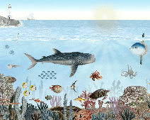 Papier peint animaux marins, XXL, tendance