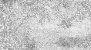 Papier peint panoramique paysage de campagne - Muralconcept