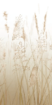 Papier peint toilette fleur des champs de blé beige - Muralconcept