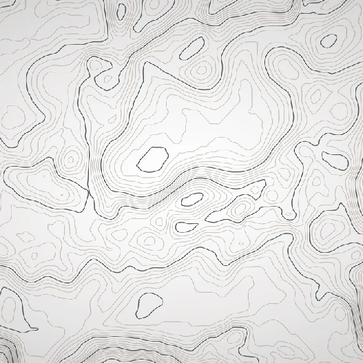 Topographic line wallpaper - Black and white