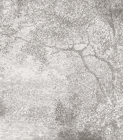 Papier peint panoramique paysage de campagne - Muralconcept