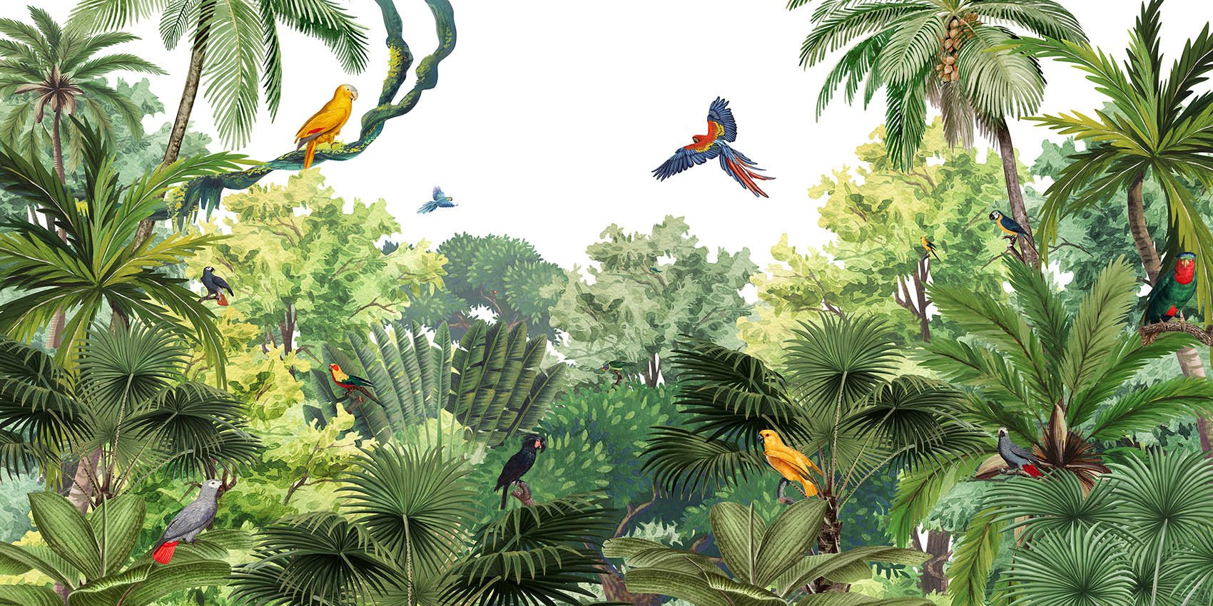 Papel pintado infantil Loros exóticos