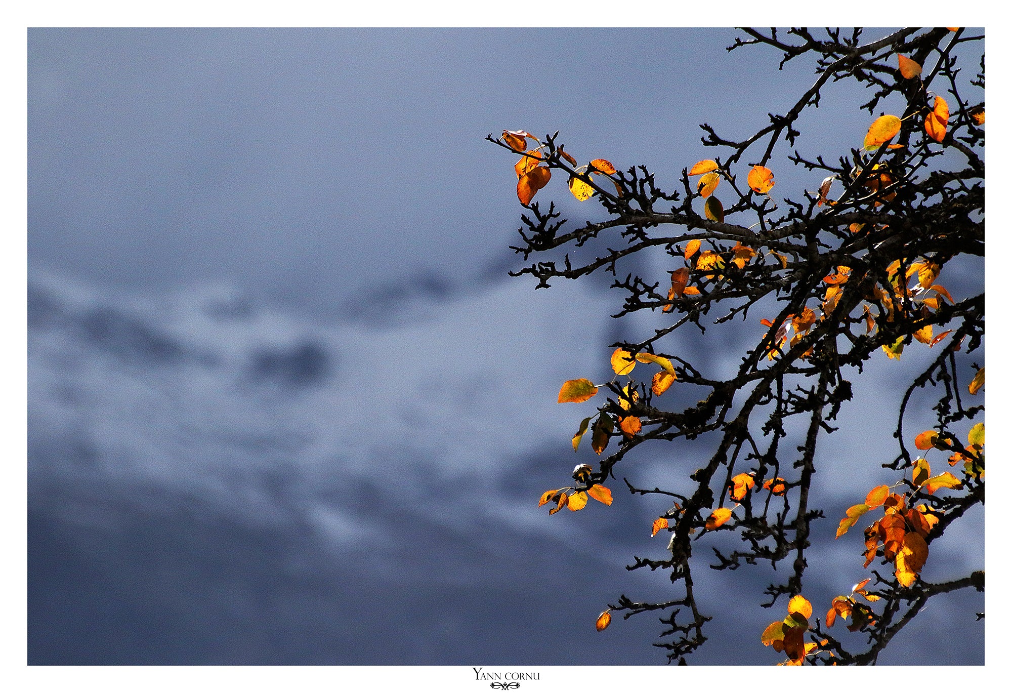 Spring touch photo wallpaper