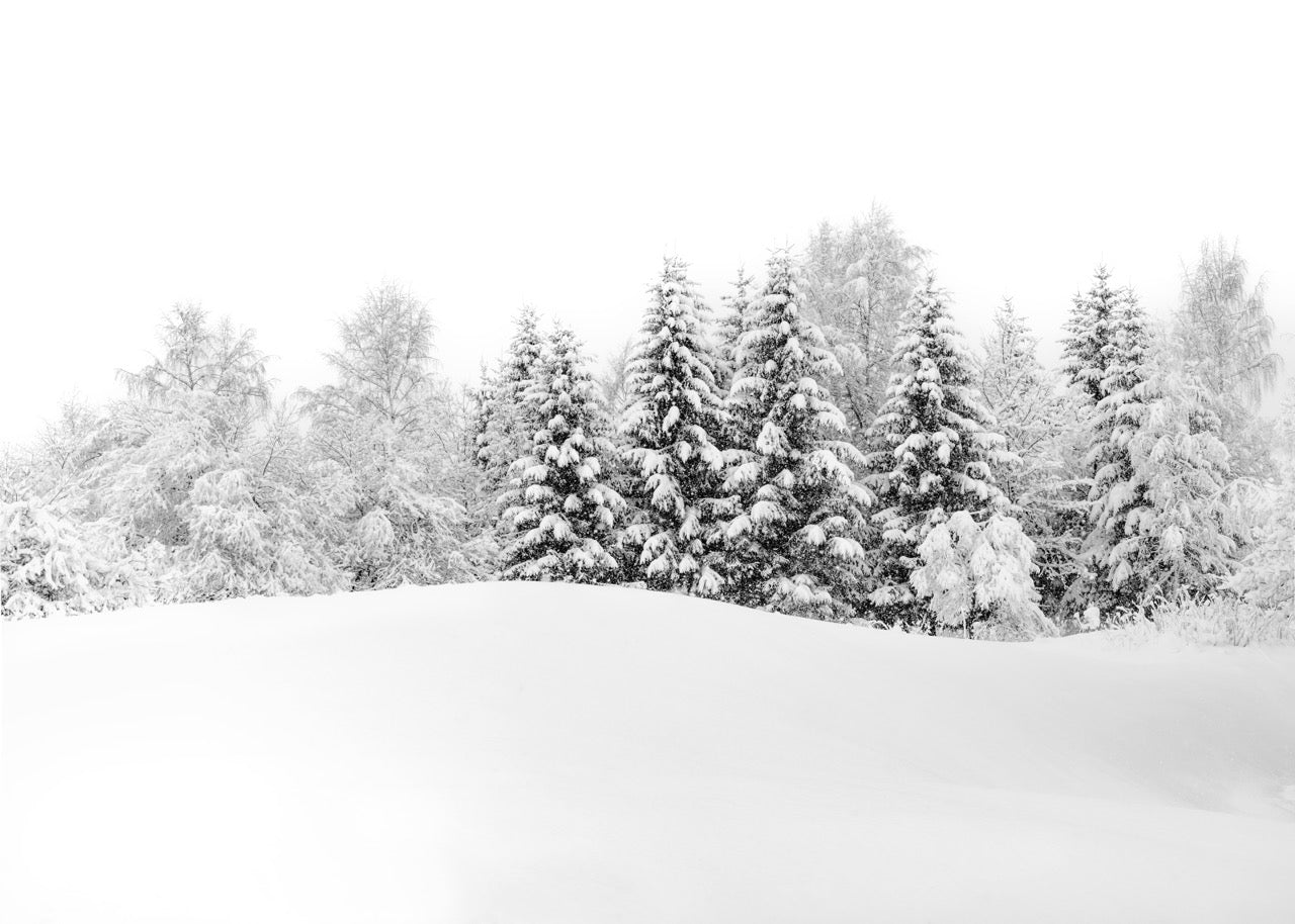 Papier peint panoramique évasion hivernale