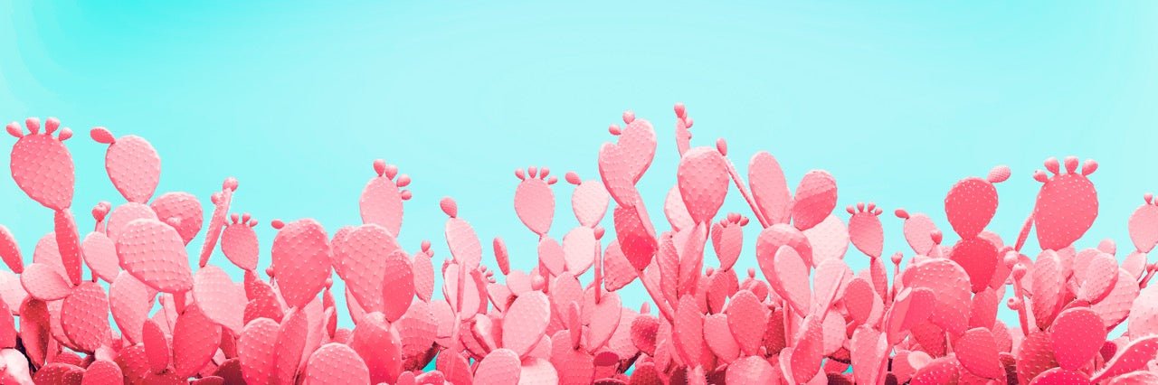 Papel pintado Cactus pop