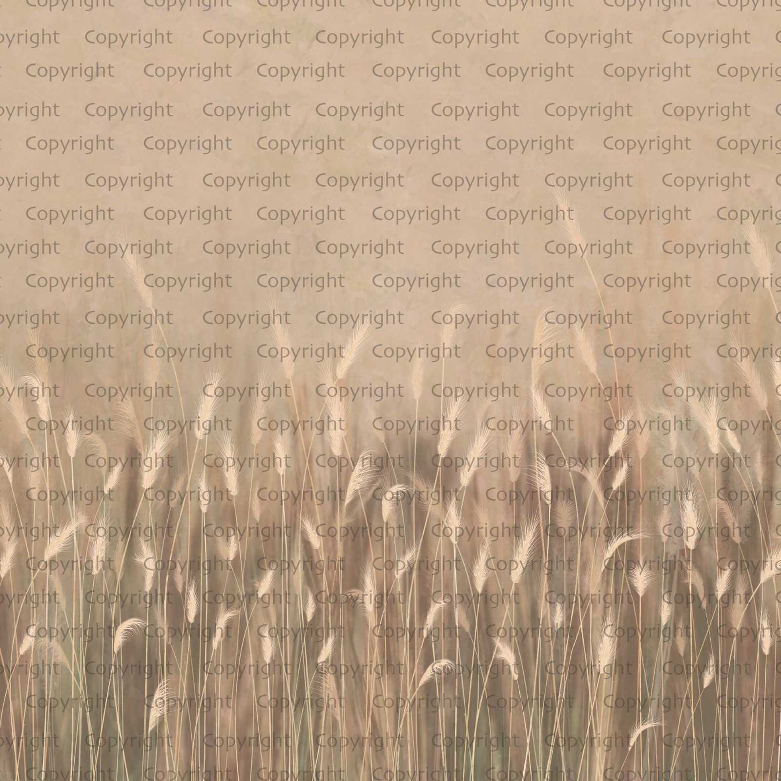 Panorama-Tapete Wildkräuter Beige