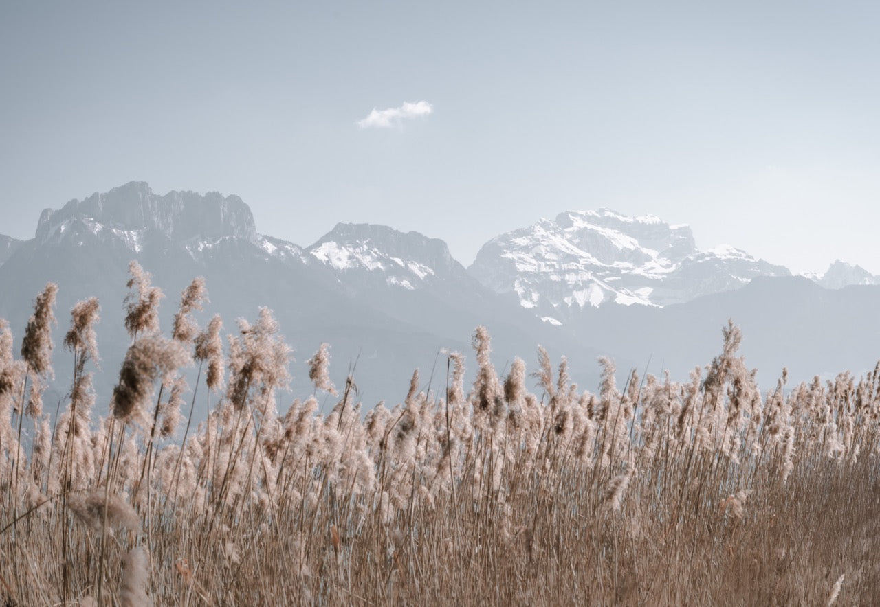 Photo wallpaper - La Tournette et au delà