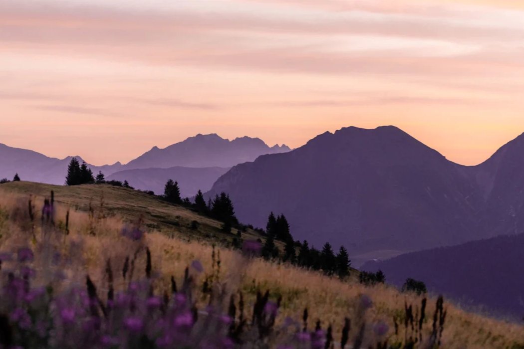 Papier peint restaurant massif du Giffre, mural concept, tendance