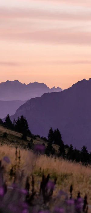 Tapete Restaurant Massif du Giffre
