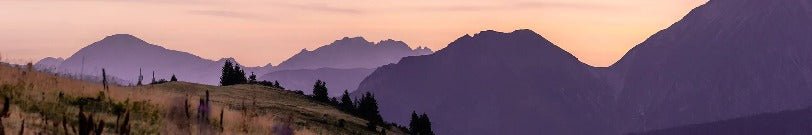 Papier peint restaurant massif du Giffre, mural concept, tendance