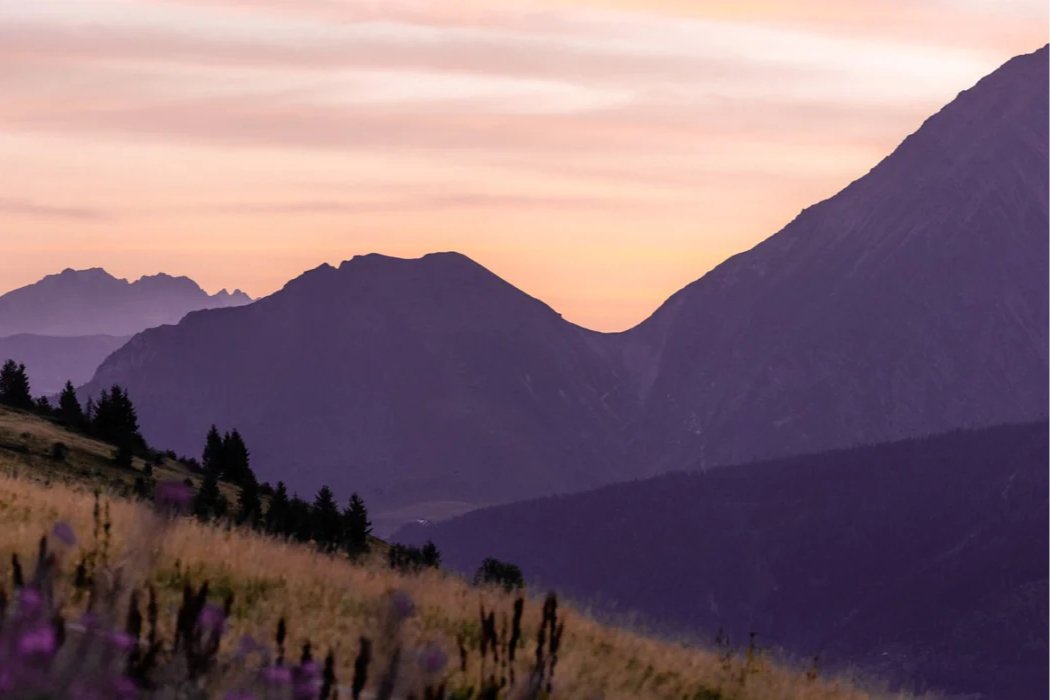 Papier peint restaurant massif du Giffre, mural concept, tendance