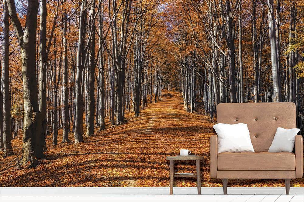 Autumn stroll panoramic wallpaper