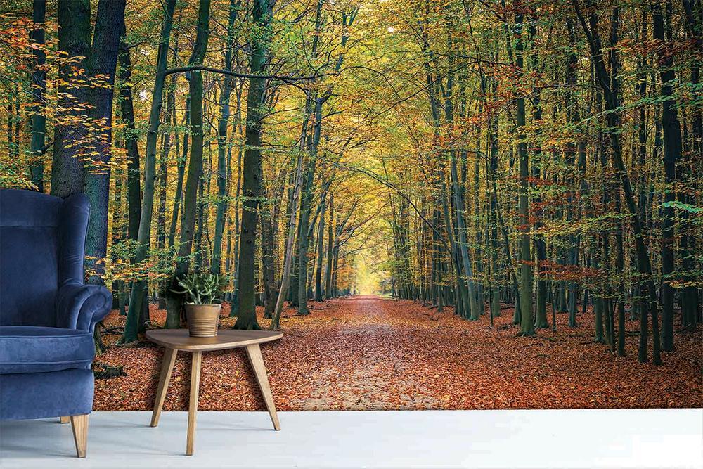 Papel pintado Bosque panorámico de Vercors