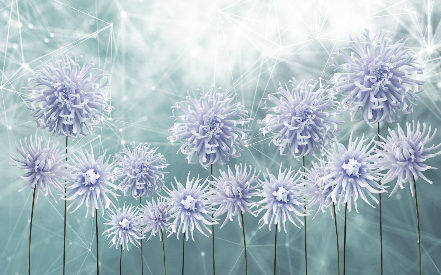 Papier peint cuisine pissenlit mauve fleur - Muralconceptpapier_peint_sur_mesure